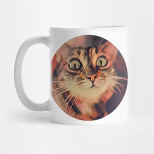 Amusing floppy cat Mug